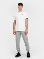 Брюки 4F TROUSERS CAS 4FMM00TTROM311-27M р. 2XL серый