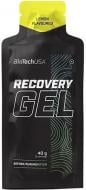 Комплекс передтренувальний BioTechUSA Recovery Gel 40 г