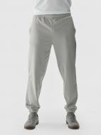 Брюки 4F TROUSERS CAS M0785 4FWAW24TTROM0785-25S р. 3XL серый Брюки 4F TROUSERS CAS M0785 4FWAW24TTROM0785-25S р. 3XL серый