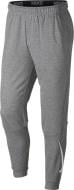 Брюки Nike M NK DRY PANT TAPER FLC NKE 932245-063 р. XL серый Брюки Nike M NK DRY PANT TAPER FLC NKE 932245-063 р. XL серый