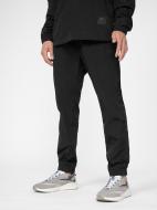 Брюки 4F TROUSERS CAS M295 4FSS23TTROM295-20S р. 2XL черный