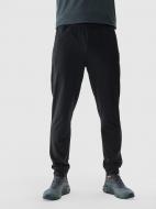 Брюки 4F TROUSERS FNK M681 4FWAW24TFTRM681-20S р. 3XL черный