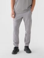 Штани 4F TROUSERS CAS M1100 RL9SAW24TTROM1100-25S р. L сірий Штани 4F TROUSERS CAS M1100 RL9SAW24TTROM1100-25S р. L сірий
