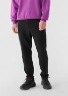 Штани 4F TROUSERS CAS M1100 RL9SAW24TTROM1100-20S р. L чорний Штани 4F TROUSERS CAS M1100 RL9SAW24TTROM1100-20S р. L чорний