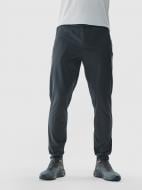 Брюки 4F TROUSERS FNK M681 4FWAW24TFTRM681-22M р. M серый