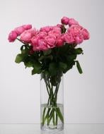 Роза Джеллато спрей (кустовая) классическая 65 см бело-розовая (Украина)