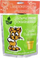 Набор садовый Вырасти меня! Трава для кошки