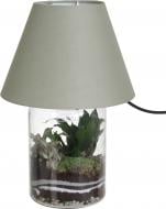 Растение декоративное Террариум в бра 27/40