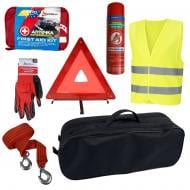 Сумка-набор автомобилиста Poputchik Евростандарт по ВВПА черный