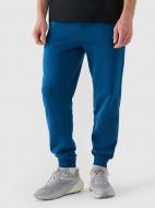 Штани 4F TROUSERS CAS M0943 4FWMM00TTROM0943-46S р. S зелений Штани 4F TROUSERS CAS M0943 4FWMM00TTROM0943-46S р. S зелений