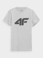 Футболка 4F TSHIRT M537 4FSS23TTSHM537-27M р.M серый