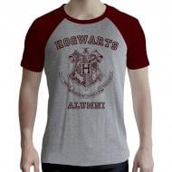 Футболка для мальчиков WP Merchandise Alumni р.164–170 серый ABYTEX502S