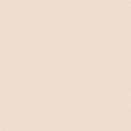 Обои виниловые на флизелиновой основе Sintra Cassandra UNI 668924 1,06x10,05 м Обои виниловые на флизелиновой основе Sintra Cassandra UNI 668924 1,06x10,05 м