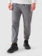 Штани 4F TROUSERS CAS M0944 4FWMM00TTROM0944-25S р. S сірий