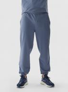 Штани 4F TROUSERS CAS M0785 4FWAW24TTROM0785-32S р. XL синій