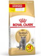 Корм сухой для взрослых кошек Royal Canin British Shorthair Adult 10 кг