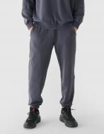 Штани 4F TROUSERS CAS M1101 RL9SAW24TTROM1101-22S р. L синій Штани 4F TROUSERS CAS M1101 RL9SAW24TTROM1101-22S р. L синій