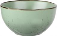 Салатник Bagheria Pastel green 14 см (AR2914GGC) Ardesto