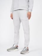 Брюки 4F TROUSERS CAS M152 4FSS23TTROM152-25S р. M серый