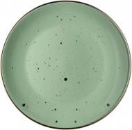 Тарелка обеденная Ardesto Bagheria Pastel green 26 см (AR2926GGC)