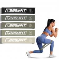 Набір EasyFit для фітнесу MonoBand 5 од EF-1813-GY мульті