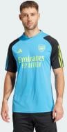 Футболка Adidas AFC TR JSY IP9160 р.L синий