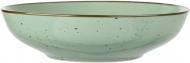 Тарілка для супу Ardesto Bagheria 20 см Pastel green AR2920GGC