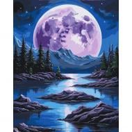 Картина за номерами «Night magic» 11059-AC 40х50 см ART CRAFT