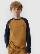 Футболка 4F LONGSLEEVE M138 4FJAW23TLONM138-74S р.134 коричневый