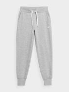 Штани 4F TROUSERS CAS F229 4FSS23TTROF229-27M р. 2XL сірий