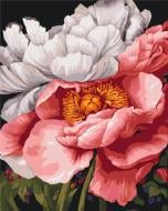 Картина по номерам Тишина в цветах © Анастасия Алехина 40x50 см Brushme