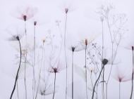 Картина Модерна С 75x100 см Styler GL-12530