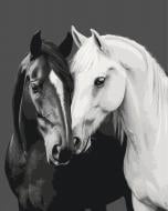 Картина по номерам Черное и белое сердце 40x50 см Brushme