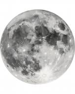 Картина по номерам Луна 40x50 см Brushme