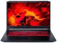 Ноутбук Acer Nitro 5 AN517-52 17,3 (NH.Q80EU.00R) obsidian black