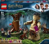 Конструктор LEGO Harry Potter Запретный лес: Грохх и Долорес Амбридж 75967