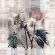 Репродукция Floral 373PF Square 80x80 см RozenfeldArt