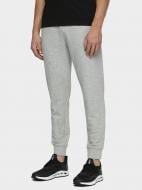 Брюки 4F NOSD4-SPMD301 р. 2XL серый