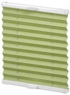 Штора-плиссе Rollotex ткань DUO TERMO 30х60 см Фисташковый