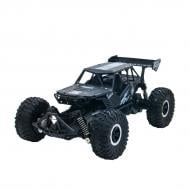 Автомобіль на р/к Sulong Toys Off-Road Crawler Speed King Чорний металік 1:14 SL-153RHMBl