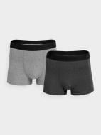 Труси чоловічі 4F 4FSS23UBXSM022-90M L сірий