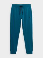 Брюки 4F TROUSERS CAS M223 4FSS23TTROM223-32S р. 2XL синий