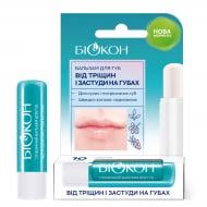 Бальзам для губ БІОКОН проти тріщин та простуди гігієнічний 4,6 г