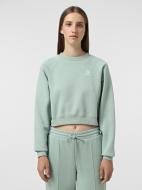 Світшот Converse STAR CHEV CROP CREW CVW5K528-M58 р.M зелений