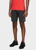 Шорты 4F D4L20-SKMF212R р. S черный