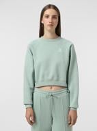 Свитшот Converse STAR CHEV CROP CREW CVW5K528-M58 р.XS зеленый Свитшот Converse STAR CHEV CROP CREW CVW5K528-M58 р.XS зеленый