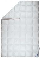 Одеяло Актигард 1800 г 200x220 см Sound-sleep Одеяло Актигард 1800 г 200x220 см Sound-sleep