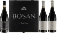 Вино Cesari Amarone Bosan (2001 + 2010 + 2015) 2,25 л