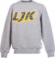 Кофта для мальчика Lejeko р.104 серый 0103.1_серый_104