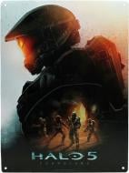 Постер FSD HALO Keyart (28x38) (ABYPLA019)